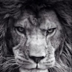 Meet your Posher, Ariel merchan